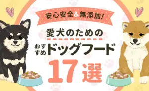 ドッグフードのおすすめランキング17選｜安心安全＆無添加の餌はどれ？