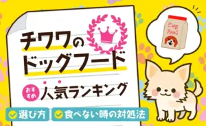 チワワのドッグフードおすすめ人気ランキング｜選び方と食べない時の対処法