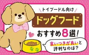 トイプードル向けドッグフードおすすめ8選！食いつきが良いと評判なのは？